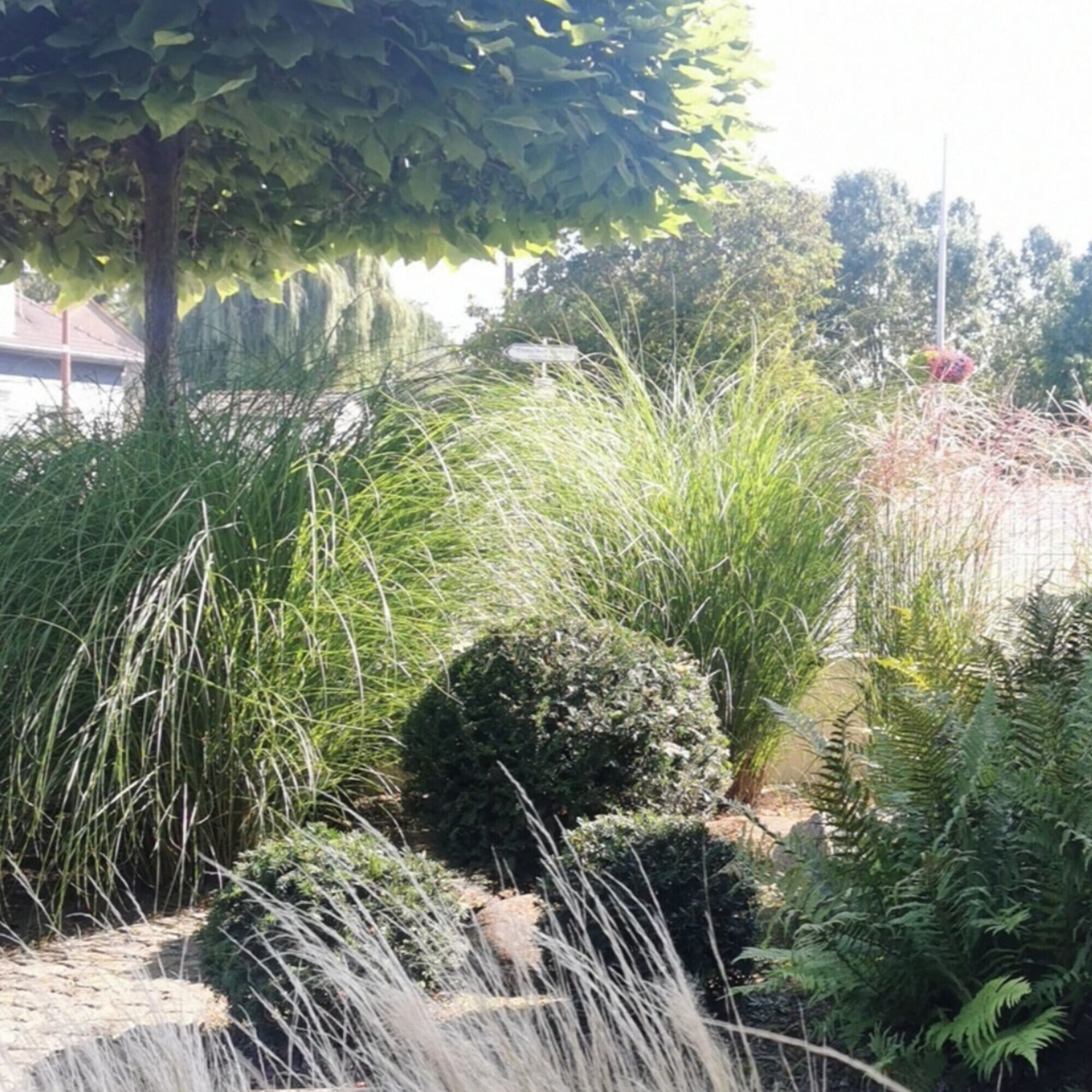 ARBRE ET PLANTATION 2000X2000 | Le temps d'un jardin Des matériaux de qualité pour créer votre aménagement paysager sur mesure Illzach