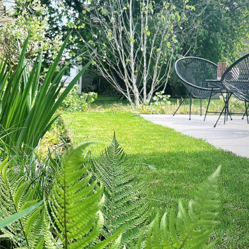 GAZON PLANTATION ET TERRASSE PAGE 00001 800X800 | Le temps d'un jardin Photos page d’accueil Kingersheim 2