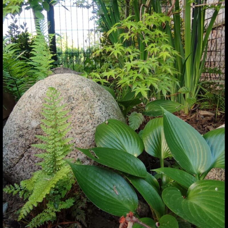 Création de jardins Kingersheim 11