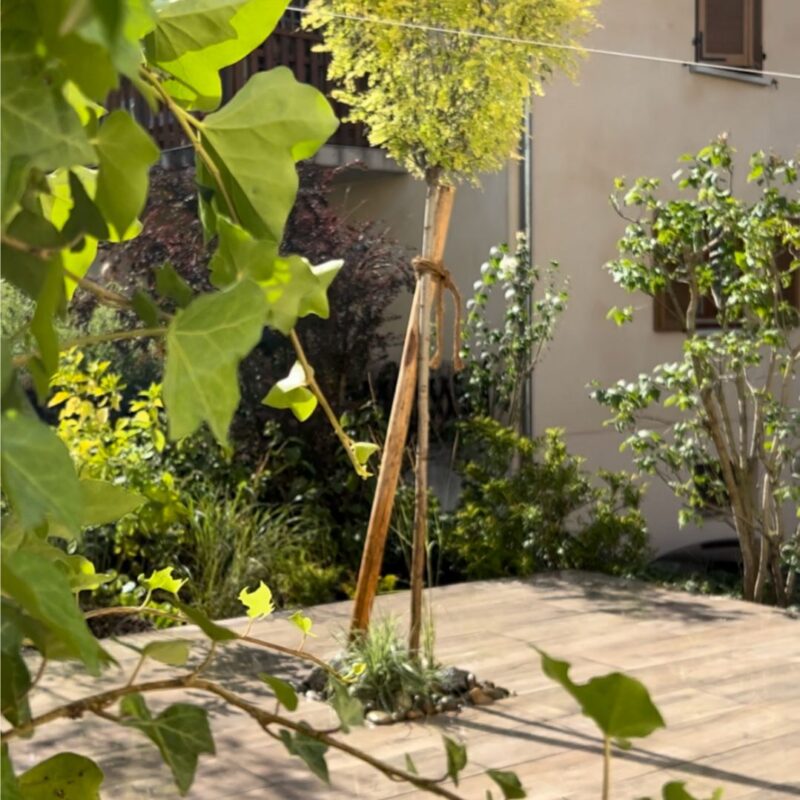 Création de jardins Riedisheim 15