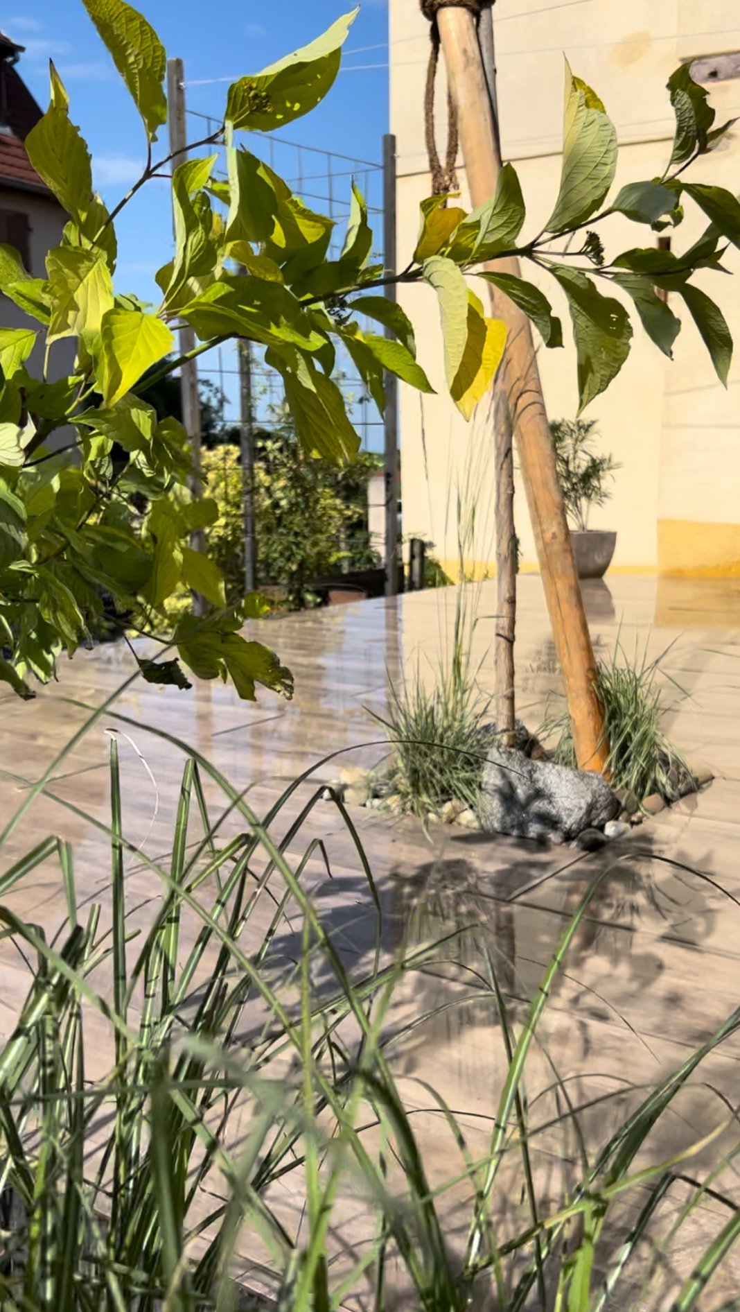 TERRASSE ET PLANTATION HUNAWIHR | Le temps d'un jardin Concrétisez l’aménagement de vos extérieurs avec Le temps d’un jardin dans le Haut-Rhin ! Sélestat